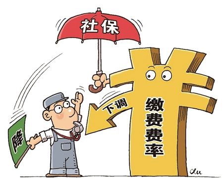 新變化！社保繳納費率下降，對線束加工廠有什么影響？